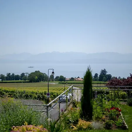 La Clef D'or Communale Penzion