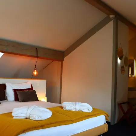 La Clef D'or Communale 3* Bursinel