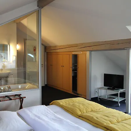 La Clef D'or Communale Penzion Bursinel