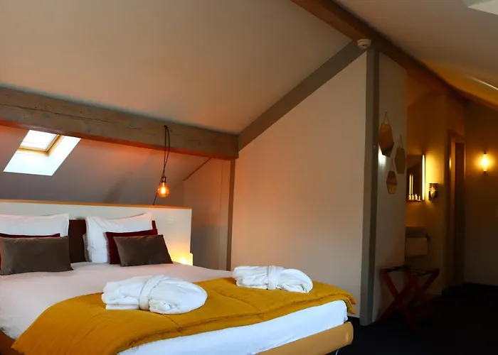 La Clef D'or Communale 3* Bursinel