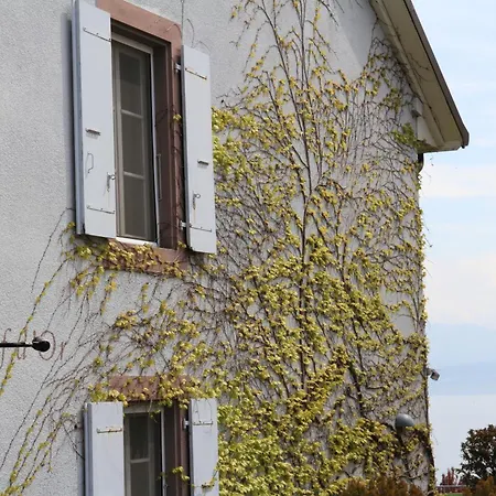 イン La Clef D'or Communale Bursinel